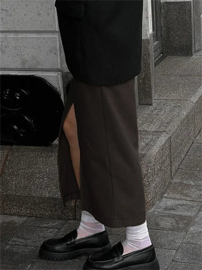 Spring Elegant High Waist Maxi Skirt